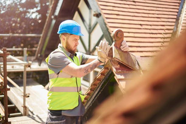 Best Roof Repair Services  in Clifton Forge, VA